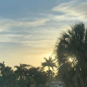 Meet your Posher, Ava